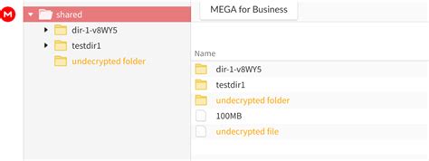 undecrypted folder mega|mega stuck on decrypting.